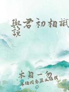 与君初相识 小说