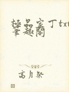 极品家丁txt笔趣阁