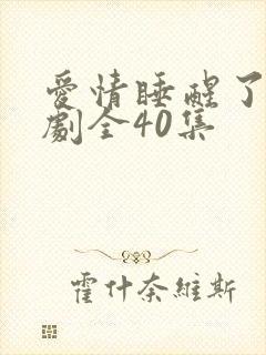 爱情睡醒了电视剧全40集