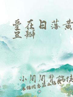 爱在日落黄昏时豆瓣
