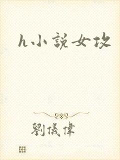 h小说女攻