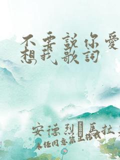 不要说你爱我你想我歌词