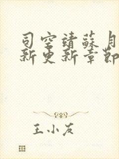 司空靖苏月汐最新更新章节列表