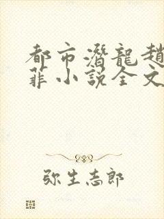 都市潜龙赵东苏菲小说全文阅读