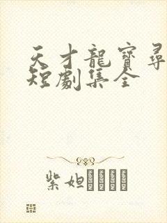 天才龙宝寻亲记短剧集全