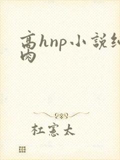 高hnp小说纯肉