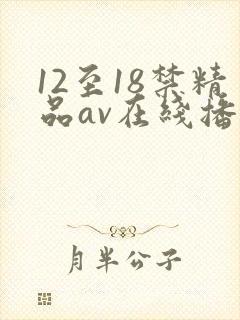 12至18禁精品av在线播放