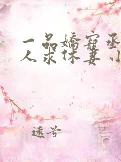 一品娇宠丞相大人求休妻 小说免费阅读完本