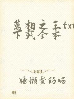万相之王txt下载全本