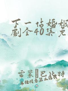 下一站婚姻电视剧全40集免费观看