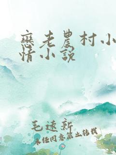 恋老农村小说言情小说