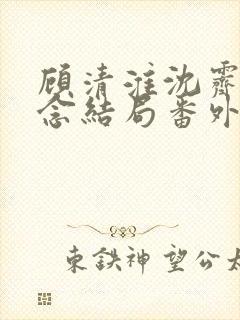 顾清淮沈霁禾乔念结局番外