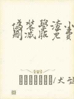 伪装学渣小说无删减版免费
