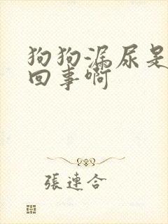 狗狗漏尿是怎么回事啊
