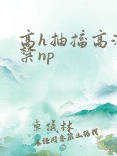 高h抽搐高潮失禁np
