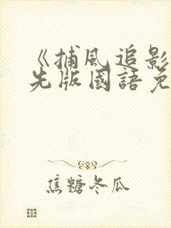 《捕风追影》抢先版国语免费观看