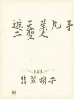 遮天叶凡手下十二圣人