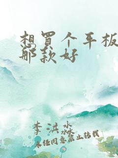 想买个平板画画那款好