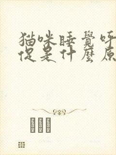 猫咪睡觉呼吸急促是什么原因