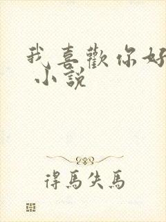 我喜欢你好多年 小说
