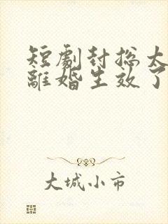 短剧封总太太的离婚生效了免费播放