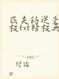 匹夫的逆袭骁骑校txt精校无错版