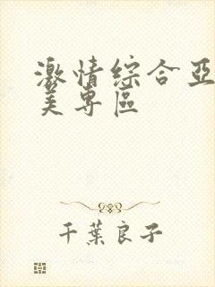 激情综合亚洲欧美专区