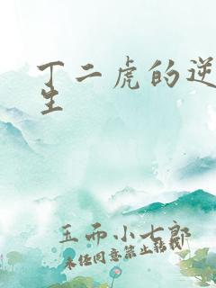 丁二虎的逆袭人生