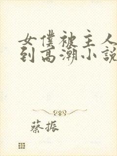 女仆被主人调教到高潮小说