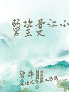 弱攻晋江小说双男主文