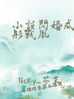 小说闪婚成宠海彤战胤
