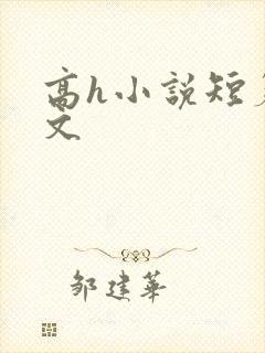 高h小说短篇辣文