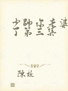 少帅你老婆又跑了第三集