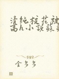 清纯校花被脔哭高h小说苏苏
