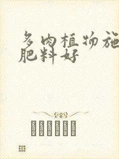 多肉植物施什么肥料好