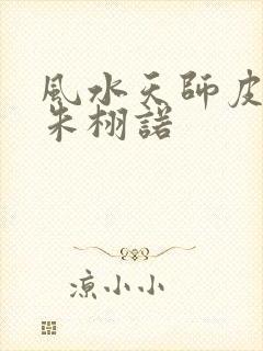 风水天师皮剑青朱栩诺