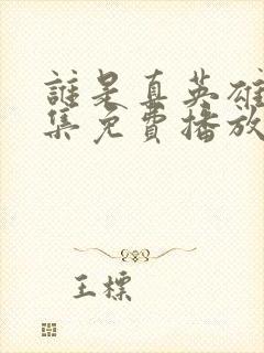 谁是真英雄46集免费播放
