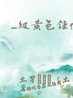 _级黄色录像