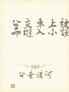 公交车上被从后面进入小说