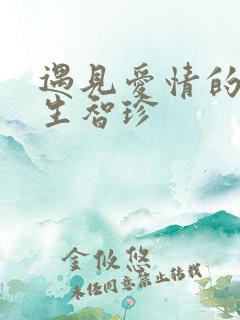 遇见爱情的利先生智珍