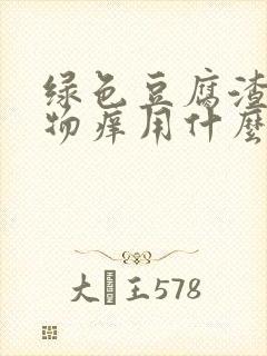 绿色豆腐渣分泌物痒用什么药