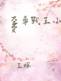 至尊战王小说免费