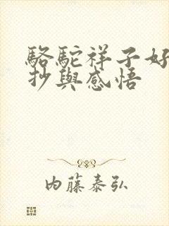 骆驼祥子好句摘抄与感悟