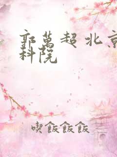 郭万超 北京社科院
