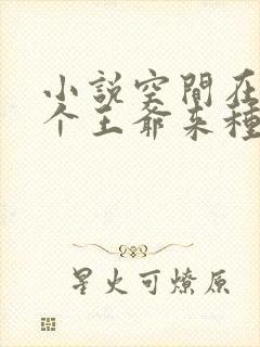小说空间在手捡个王爷来种田