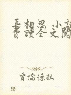 长相思 小说免费读全文阅读