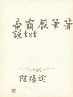 帝霸厌笔萧生小说txt