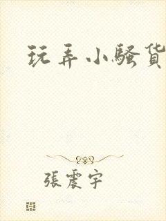 玩弄小骚货小说