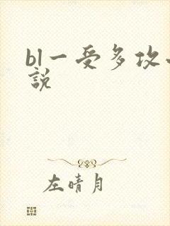 bl一受多攻小说