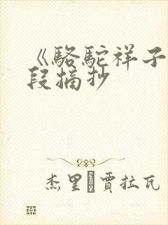 《骆驼祥子》文段摘抄